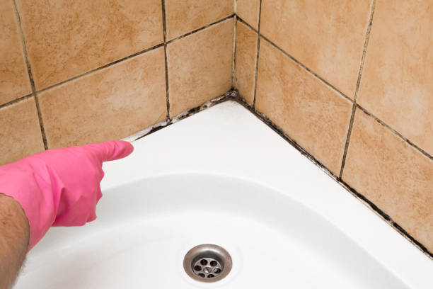 Best Mold Testing and Removal  in Eatonton, GA